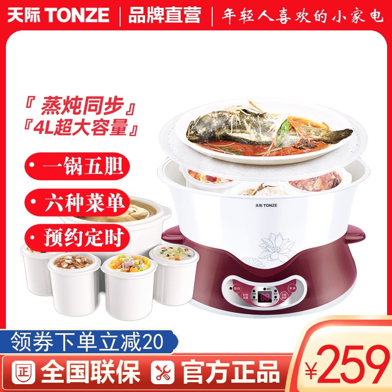 天际电炖锅隔水炖陶瓷家用炖燕窝煲汤煮粥大容量全自动一锅五胆4L