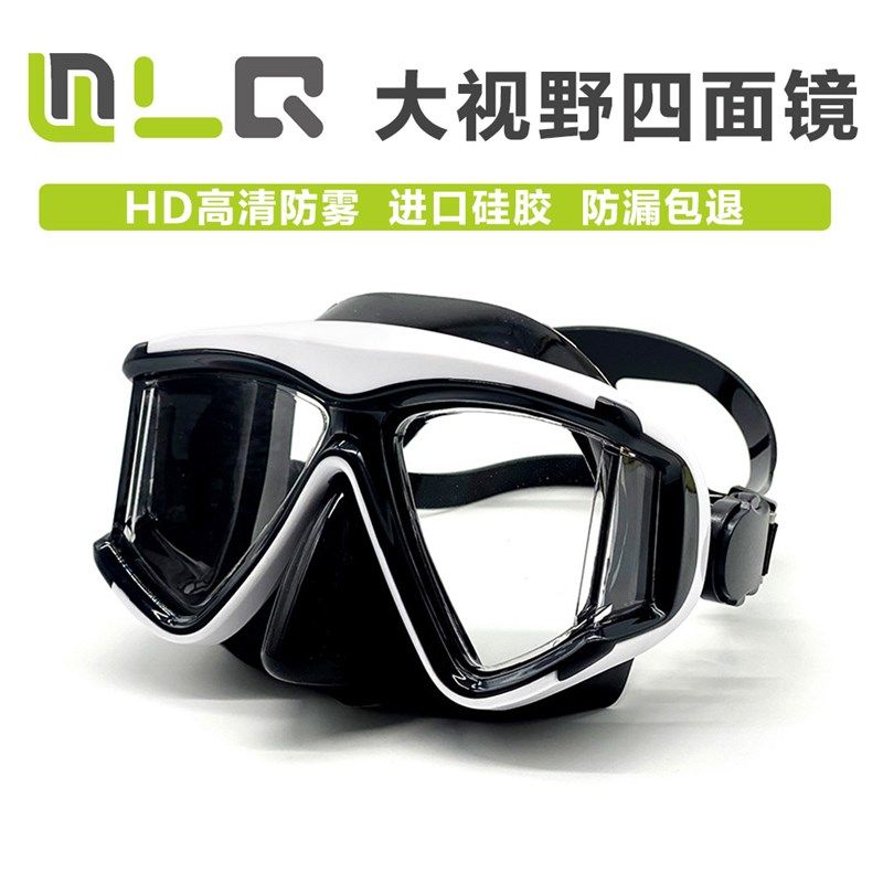 新款防雾罩水镜深浅浮潜三宝面镜潜近视护鼻一体大框游泳眼镜装备