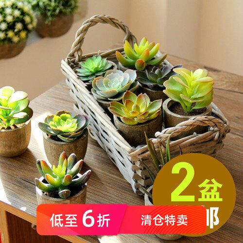 【尚尙】仿真多肉植物盆景 组合盆栽 绿植景天石莲摆件礼物微景观