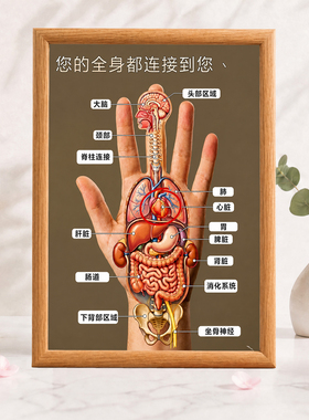 中医手部脏腑反射区装饰相框中医馆诊所挂画桌面养生摆画