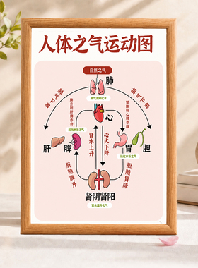 人体之气运动图中医养生装饰相框养生馆书房中式墙面装饰摆画