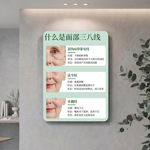 面部三八线科普皮肤管理项目宣传无框装饰画挂画