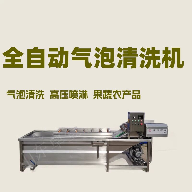 全自动大型果蔬气泡清洗机