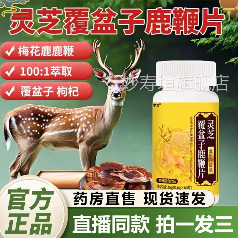 灵芝覆盆子鹿鞭片高含量好吸收官方旗舰店正原品梅花鹿甄选料1QY