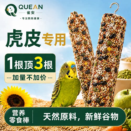 【QUEAN雀安】虎皮专用磨牙棒