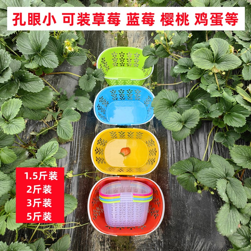 手料水果篮子杨提篮2斤3斤装5斤装草莓篮樱桃篮塑梅篮鸡蛋篮小蓝