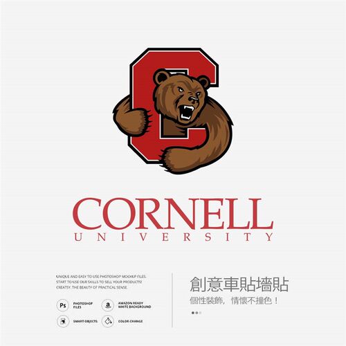 C意rn店ll康奈尔大学墙贴办公室玻璃贴纸装饰个性创o车贴咖啡e定