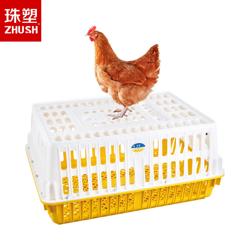 珠塑塑胶鸡笼养殖场长方形运输笼加厚鸡鸭兔小家禽周转箱厂家批发