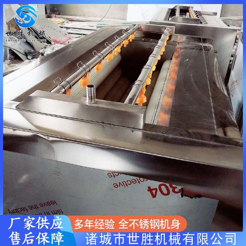 供应菱角米毛辊清洗机 全自动毛刷清洗机 不U锈钢贝壳清洗机
