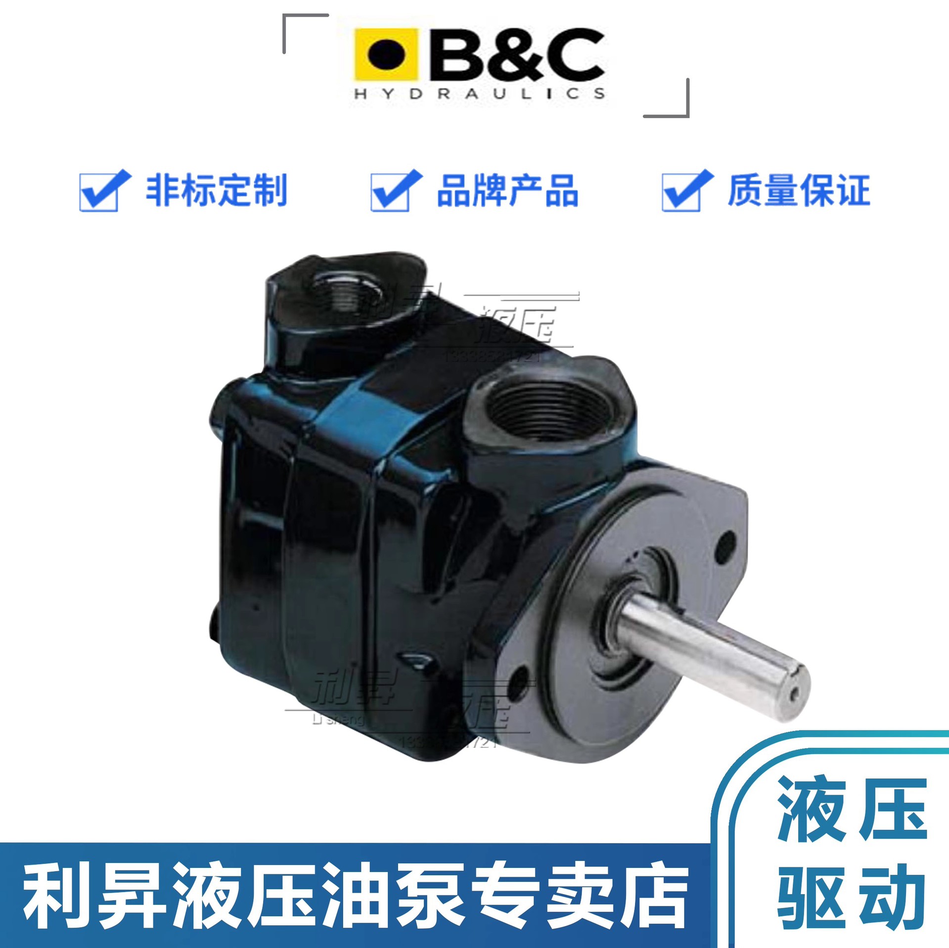 原装意大利B&C液压叶片泵