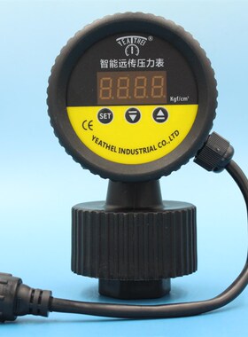 雅德仪表智能远传压力表YDSI-M19/25-10KG-DC24V