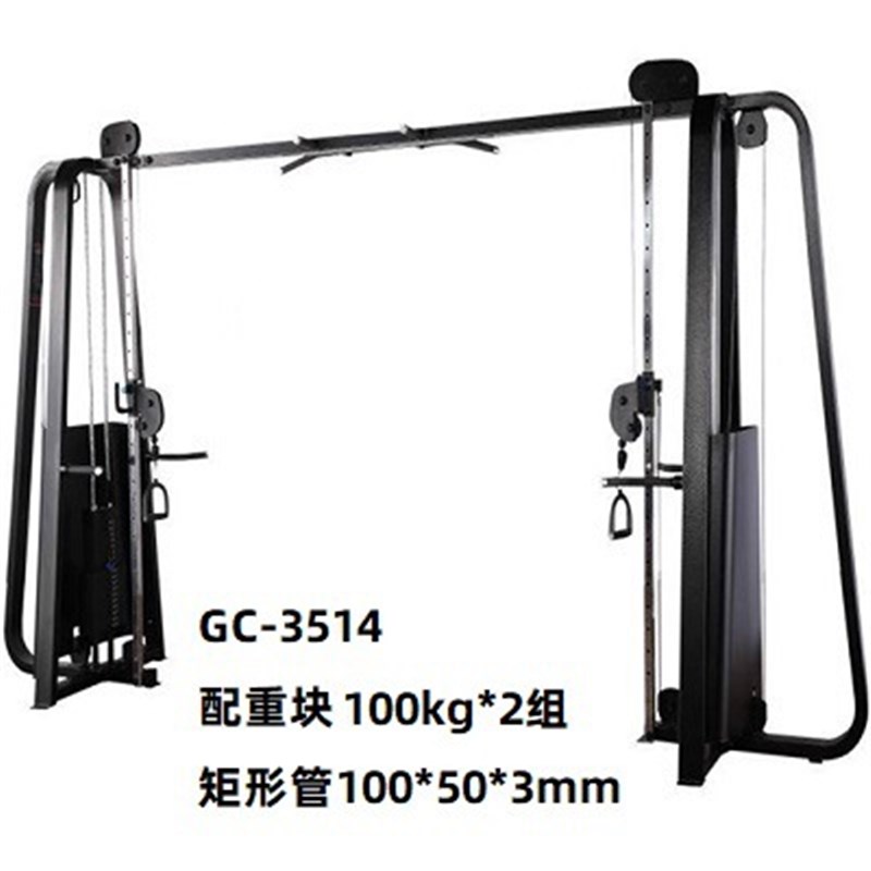 大飞鸟训练器高档双臂机龙门架商用健身器M材拉力综合训练器健身