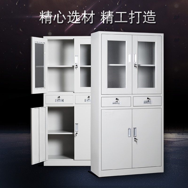 广东沃姆勒钢制中二斗文件柜器械办公柜铁皮柜财务资料柜厂家现货