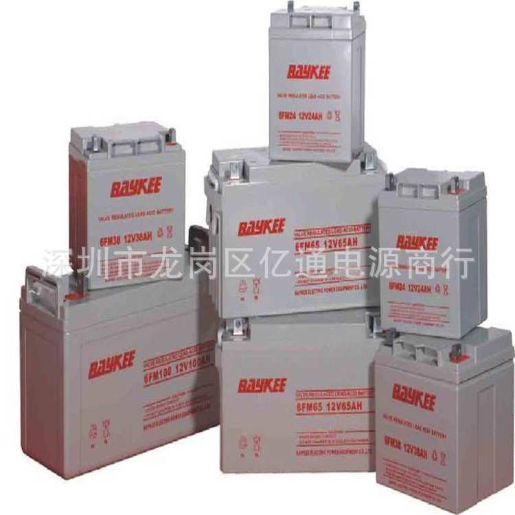 柏克BAYKEE蓄电池6FM120通讯设备UPS电源专用12V120AH铅酸蓄电池