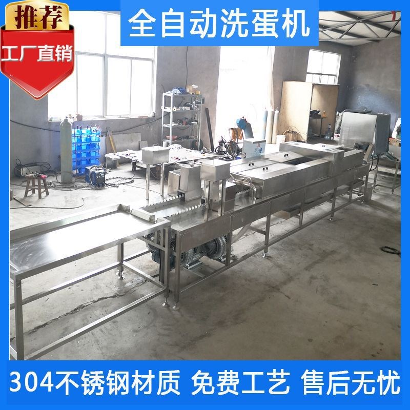 供应 自动洗蛋机 六排洗x蛋机设备 多拍咸鸭蛋清洗机