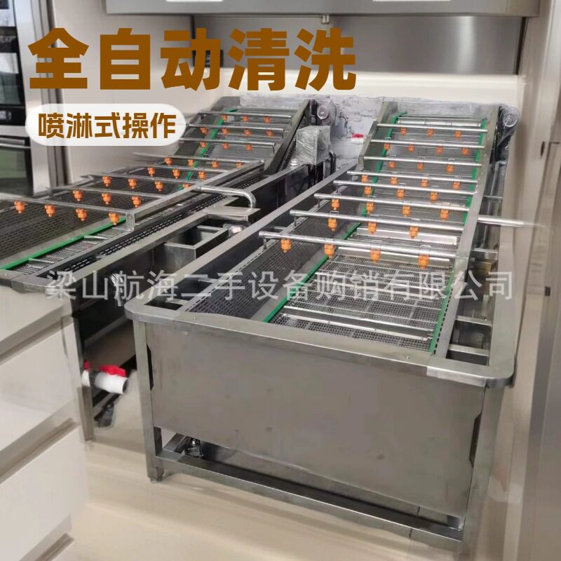 果蔬气泡清洗机 水果蔬菜清洗设备 连续叶 类洗菜机