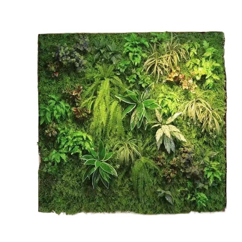 绿植墙植物墙人造草皮德株草坪植物绿植墙K面装饰造垒假假花室内