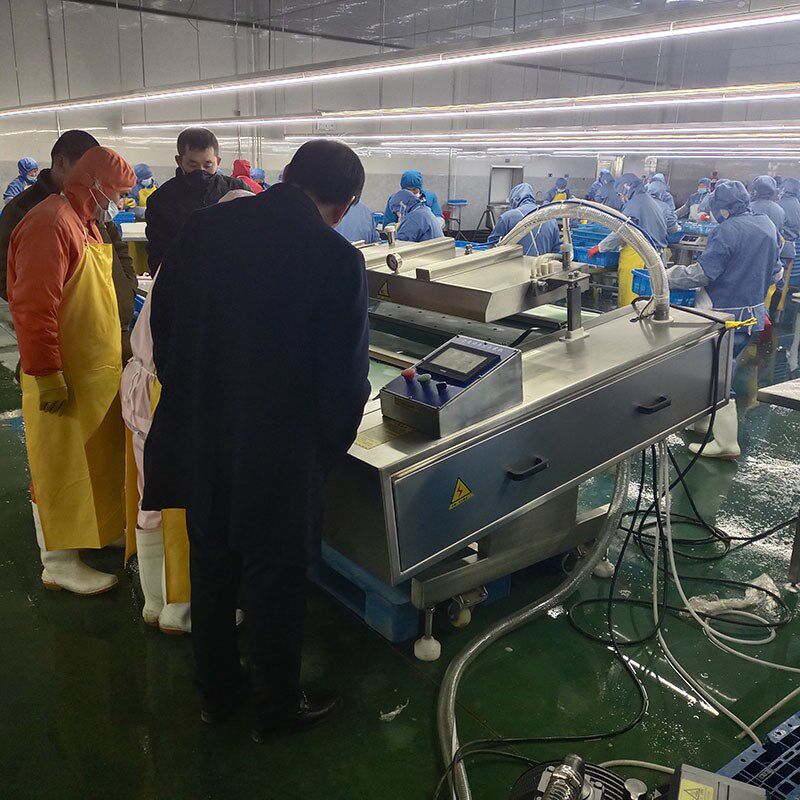 连续工作抽真空设备1100型双排B连动式真空包装机辣条滚动式包装