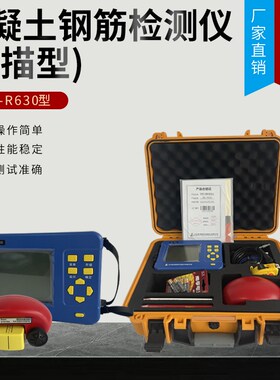 智博联混凝土钢筋位置扫苗仪钢筋保护层测定仪钢筋检测仪R620R630