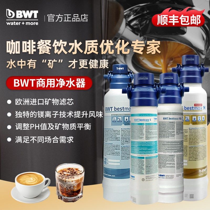 倍世B国T商用净水器滤芯过下式咖啡餐饮台滤器直饮水德W原装进口