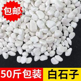 50卵白石头庭院斤园铺路鹅花石造景花园园林枯山水白石子多肉铺面