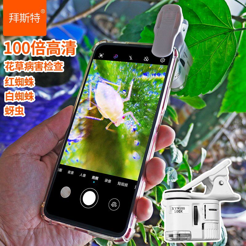 手0螨大镜看农业病虫害月季草莓蓟马红知蛛放虫1机0倍高清显微镜