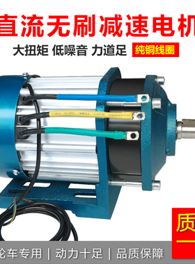 大4率载重王流装车直改无刷电瓶电动三轮车中置电机功8v60v3000w