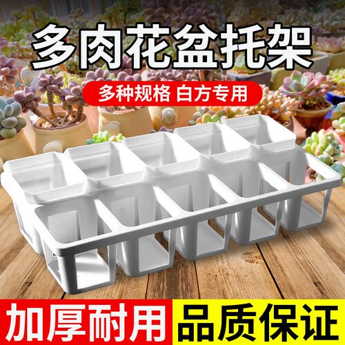 多肉花盆7cm方盆8孔托架白色小白方带托架多肉植物育苗盆塑料底托