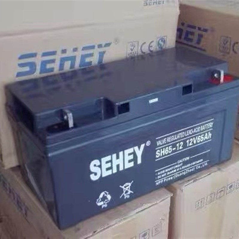 西力蓄电池12V65AH SEHEY NP65-12 UPS太阳能专用 免维护蓄电池