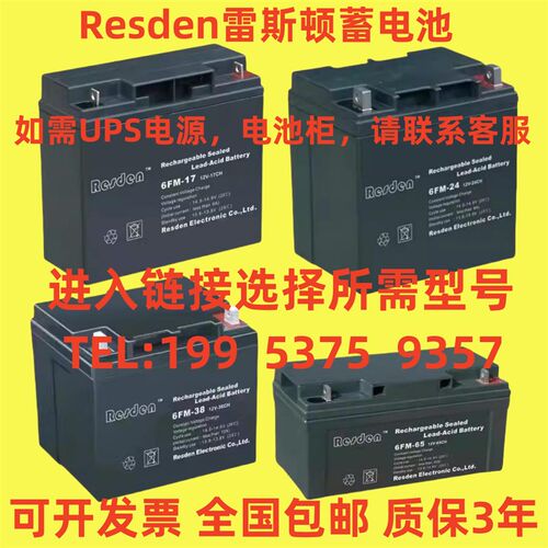 Resden雷斯顿蓄电池6FM-38 12V7AH17AH24AH38AH65AH100AH消防/UPS