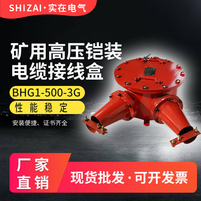 矿用隔爆铠装高压电缆接线盒