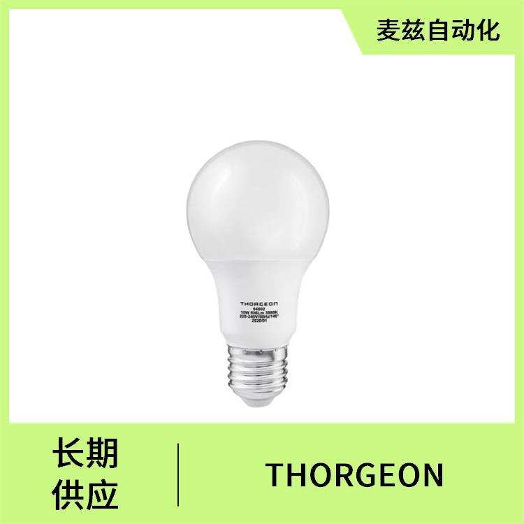 03067 台灯 泛光灯 照明电缆 带点火器的SX-T型 THORGEON 19015