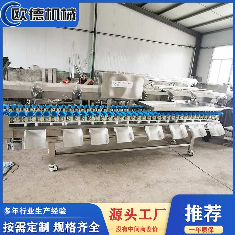 分选机小龙虾自动分拣机小龙虾快速分级称重机托盘式分级定量