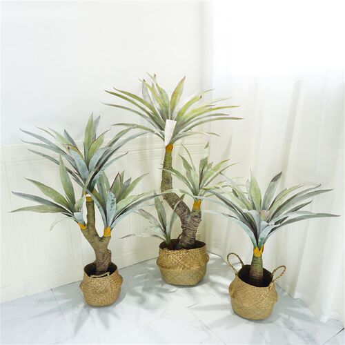 仿真植物露兜兰剑兰剑麻室内摆件橱窗造景绿植软装工程植物造景