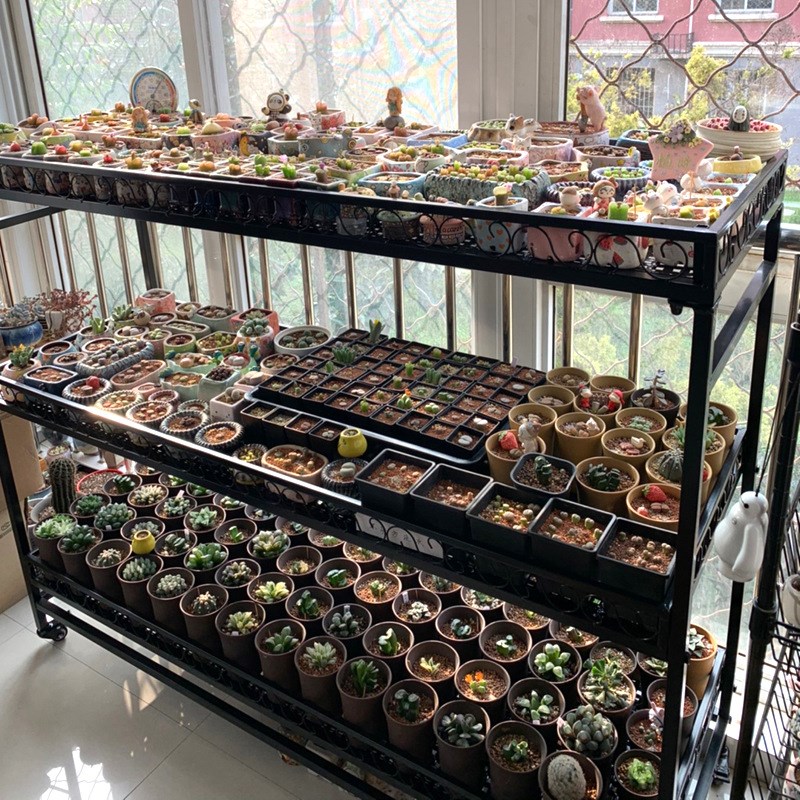 多肉花架置物架子铁艺阳台多层室内飘窗台落地带轮可移动植物挂灯