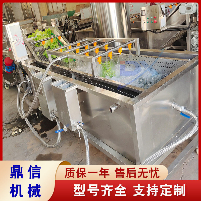 不锈钢菠菜全自动气泡清洗机