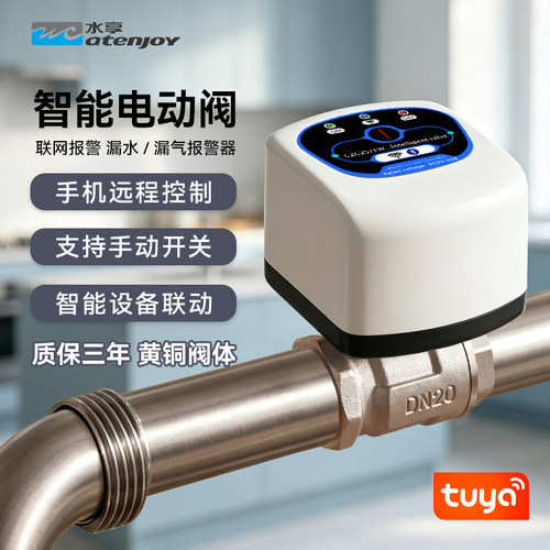 水享智能阀门漏水保护智能电动阀