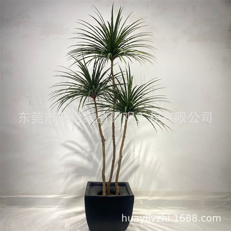 仿真铁树假盆栽巴西龙p血树绿植商场植物红铁血树酒店落地盆景摆
