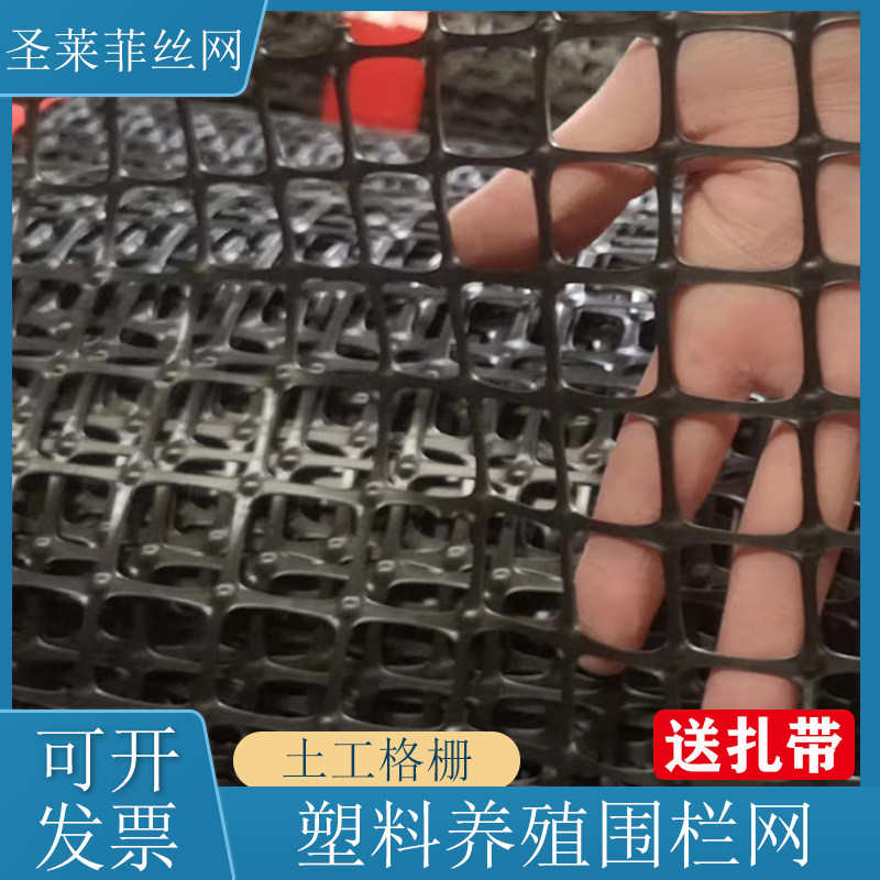 土工格栅料塑网养殖网养鸡养鸭围栏网防护网圈玉米网格园果隔离网