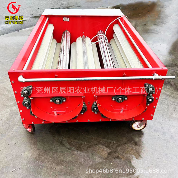 广西地区热销核桃去皮机大型220/380v16辊青皮核桃剥皮清洗一体机