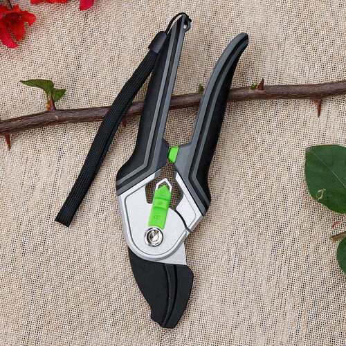 Professional Fruit Tree Potted Greenin Orchard Bonsai Tools
