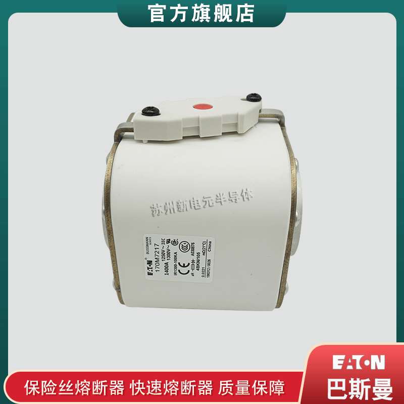 170M7248 7249 7250 7255 7260 巴斯曼bussmann快速熔断器保险丝