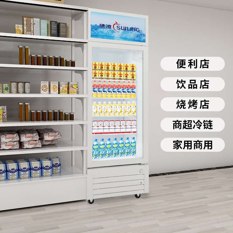 穗凌LG4-202L玻璃饮料柜立式展示柜单门保鲜冰箱display cabinet