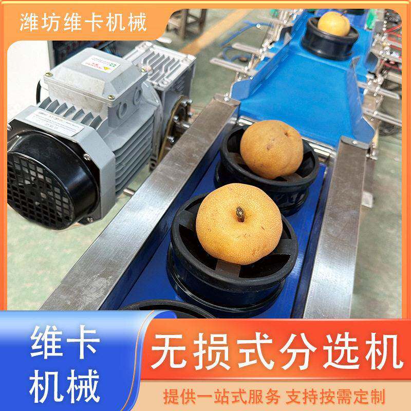 苹果损级机水果分选机苹果柠无檬分全自动电子重量分级设备