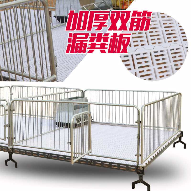 养猪的保育床塑料漏粪板小猪保育床猪仔保育床双体保育床厂家直销