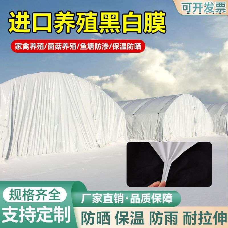 加厚抗老化黑白膜防雨防晒养殖大棚青储膜食用菌绿白膜