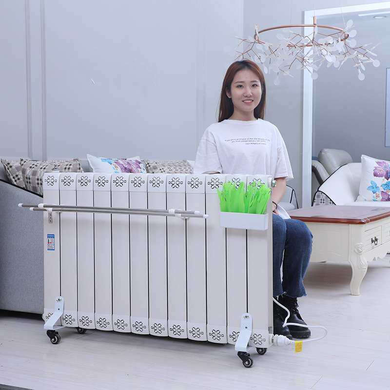 家用电暖气注水加水电暖器节能电加热省电取暖器家用水暖散热器
