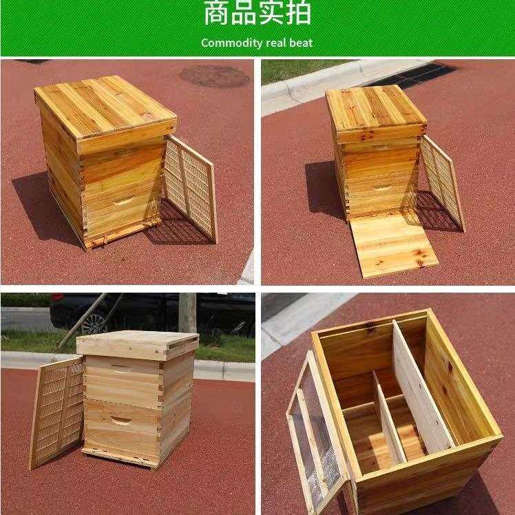 双层蜂箱全套蜜蜂箱全套一整套十框标准意蜂箱专用配件7蜂具新手