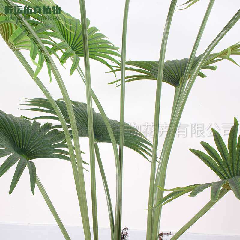 仿真绿植圆叶蒲葵树室内落地大植物盆栽家居商铺服装店装饰