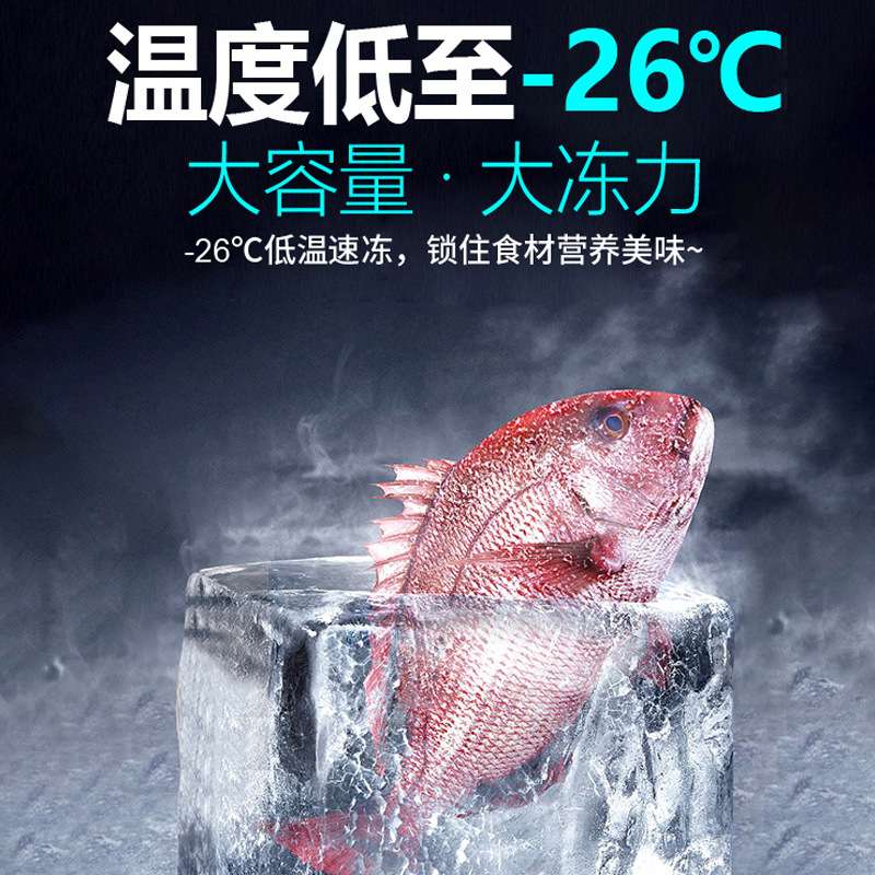 星星冰柜冷藏保鲜冷冻冰箱速冻雪糕冷饮海鲜柜卧式冷柜商用冰柜